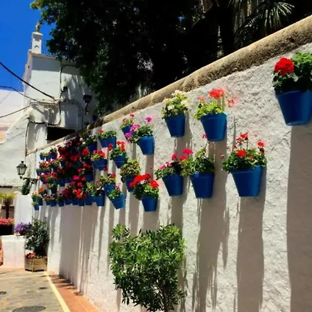 Apartamento Estudio Cosmopolita Marbella